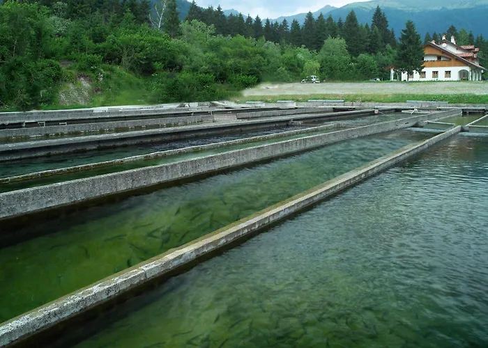 Nocleg ze śniadaniem Alle Trote 3*